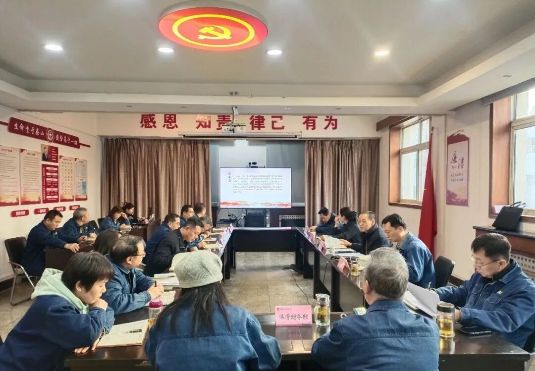 ���P�c2025�ݡ��t��������˾���ƵZ�^�M���_���a�I�lչ�¾���