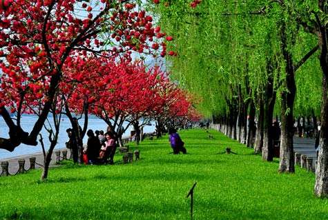 最美人間三月天 最美人間三月天