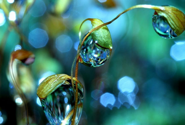 生 活 隨 感 生 活 隨 感