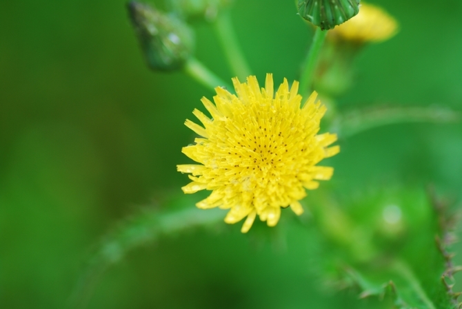 生 活 隨 感 生 活 隨 感