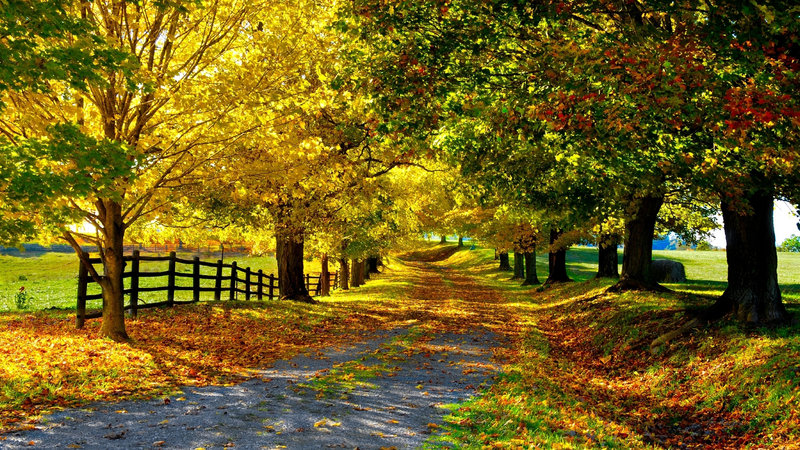 秋天的韻味 秋天的韻味