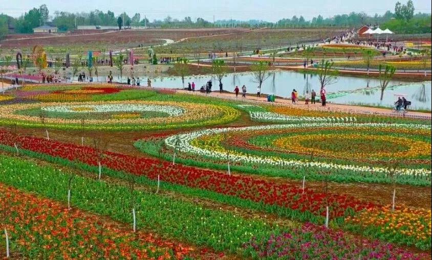 贈人玫瑰,手有余香 贈人玫瑰,手有余香