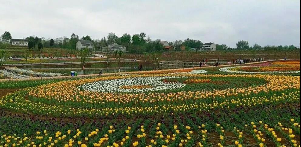 贈人玫瑰,手有余香 贈人玫瑰,手有余香