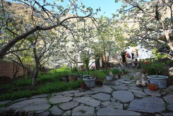 農家小院 農家小院