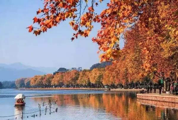 我曾在秋天等你 我曾在秋天等你